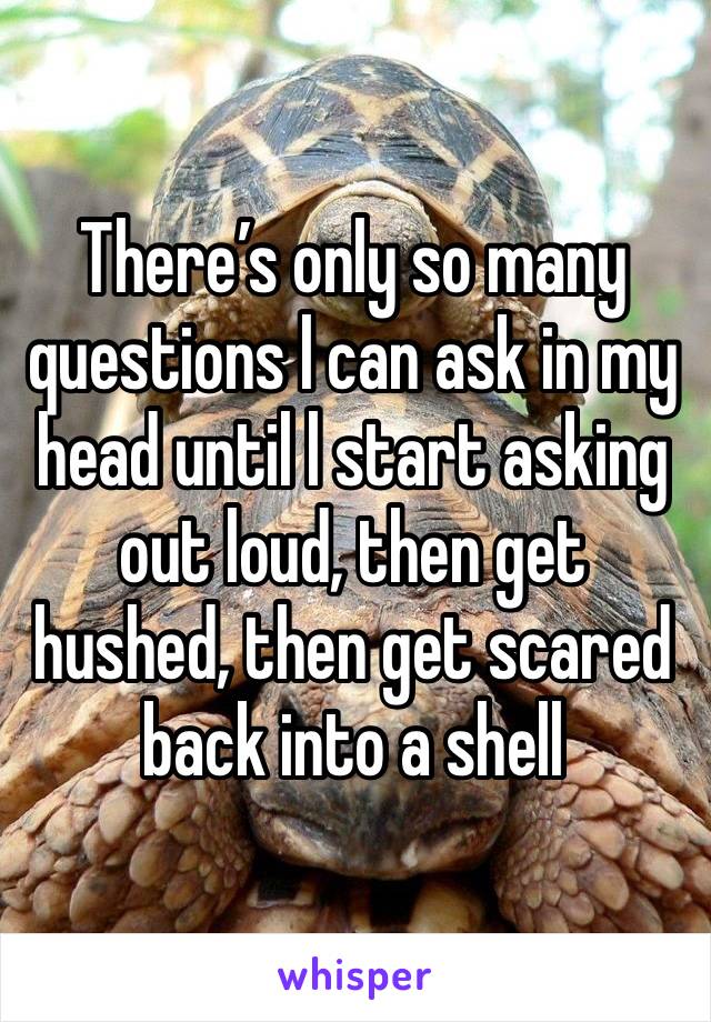 There’s only so many questions l can ask in my head until l start asking out loud, then get hushed, then get scared back into a shell