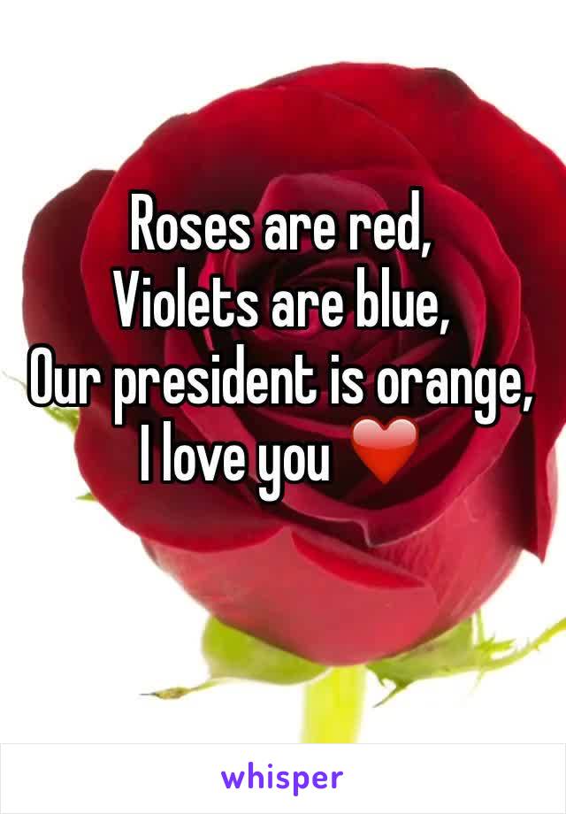 Roses are red,
Violets are blue,
Our president is orange,
I love you ❤️