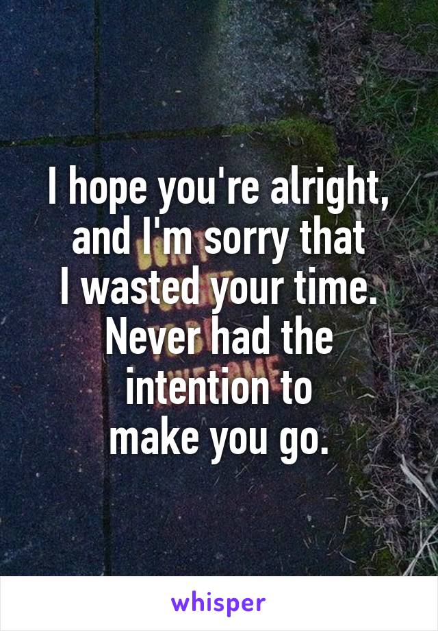 I hope you're alright,
and I'm sorry that
I wasted your time.
Never had the
intention to
make you go.