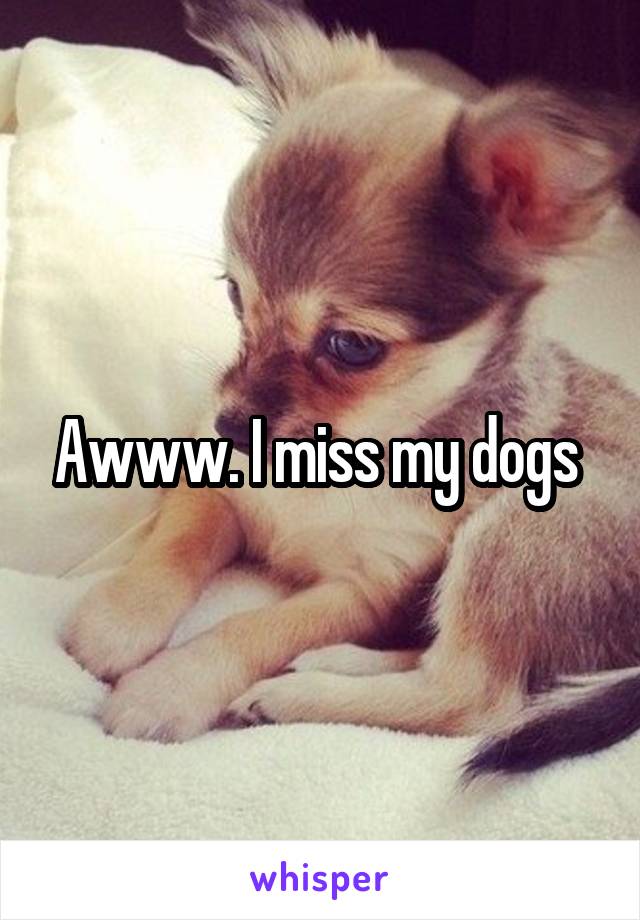 Awww. I miss my dogs 