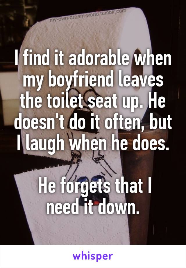 I find it adorable when my boyfriend leaves the toilet seat up. He doesn't do it often, but I laugh when he does.

 He forgets that I need it down.