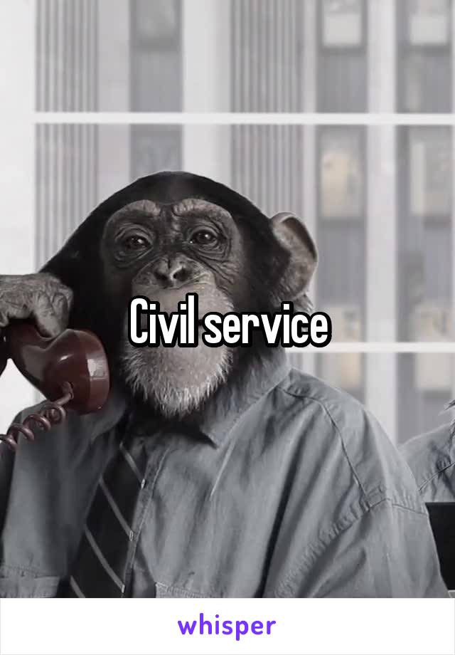 Civil service