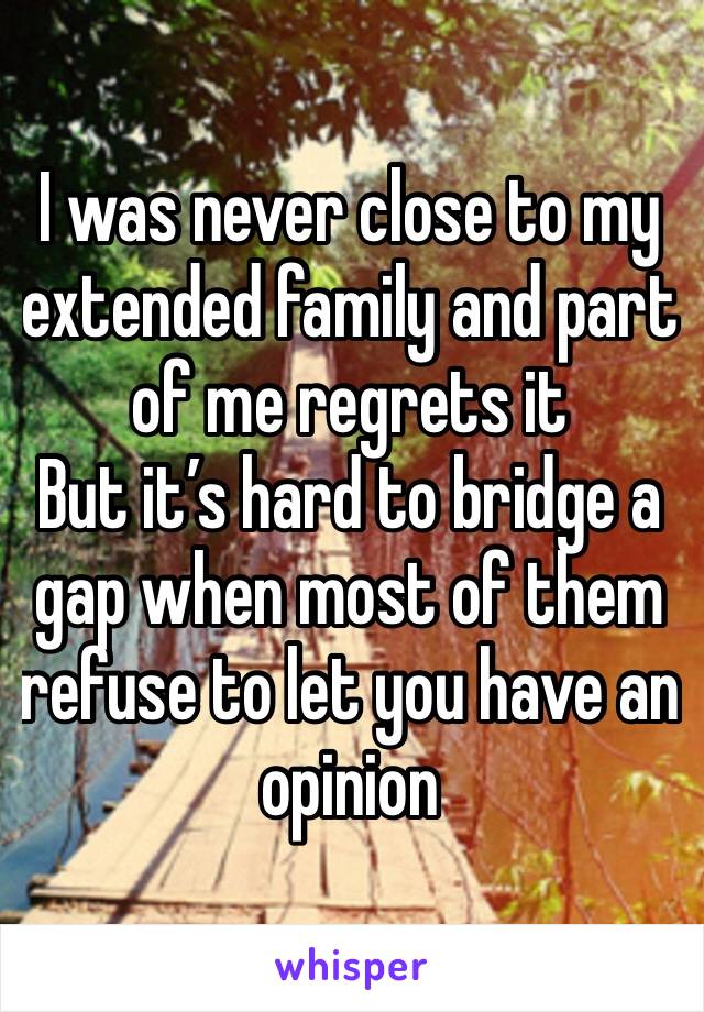 I was never close to my extended family and part of me regrets it
But it’s hard to bridge a gap when most of them refuse to let you have an opinion