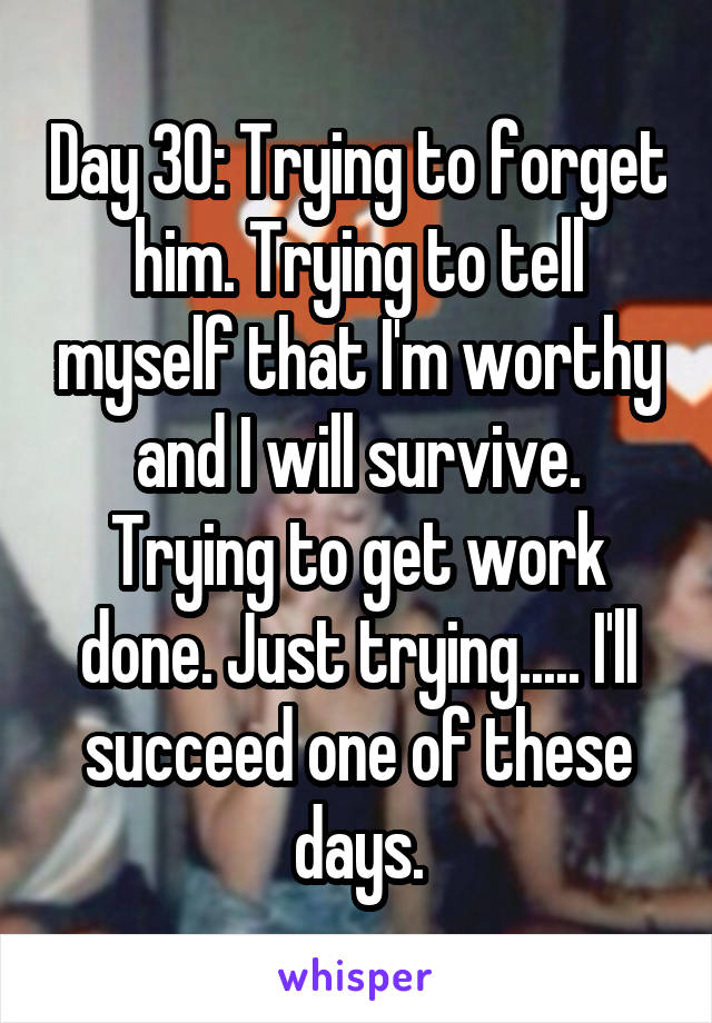 Day 30: Trying to forget him. Trying to tell myself that I'm worthy and I will survive. Trying to get work done. Just trying..... I'll succeed one of these days.