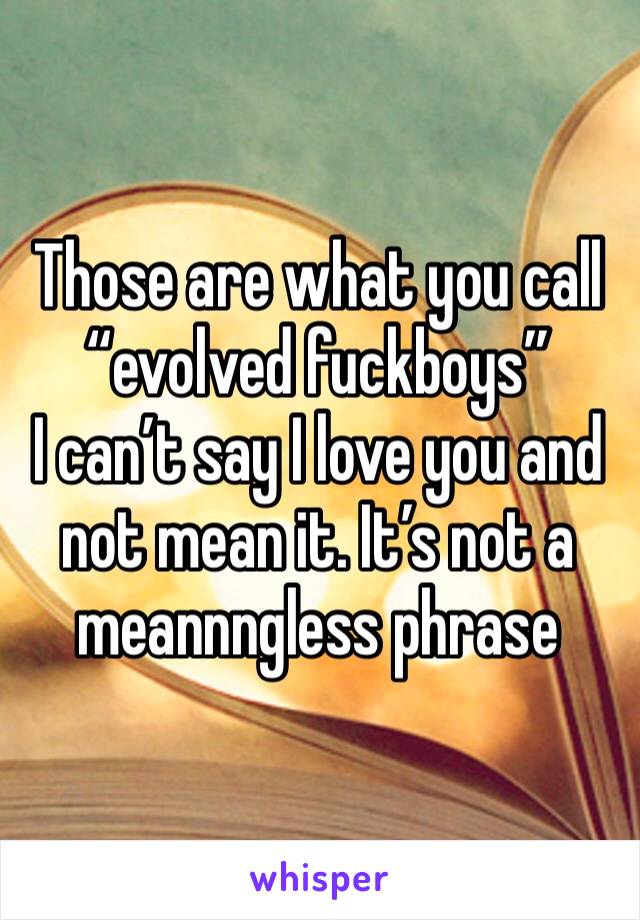 Those are what you call “evolved fuckboys” 
I can’t say I love you and not mean it. It’s not a meannngless phrase 