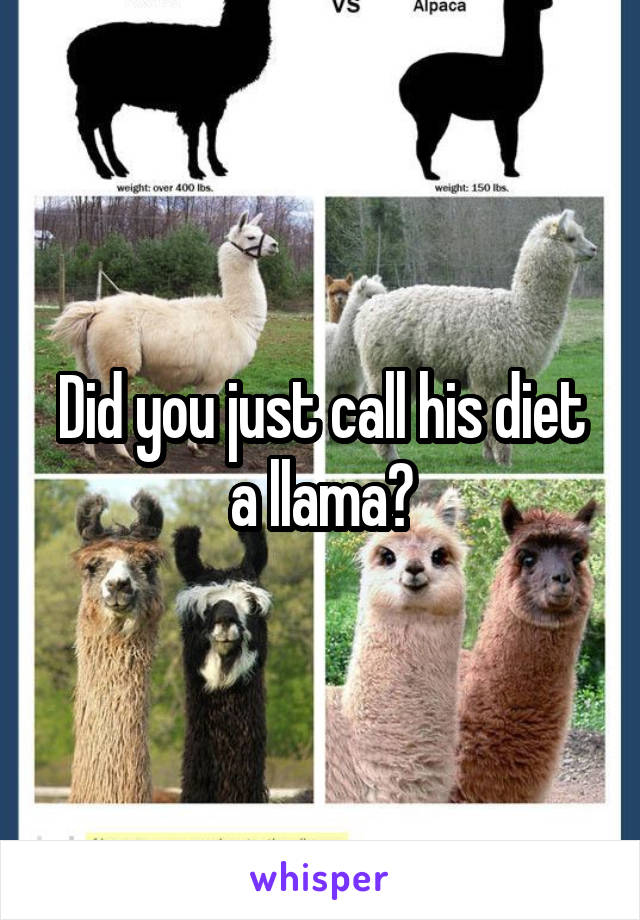 Did you just call his diet a llama?