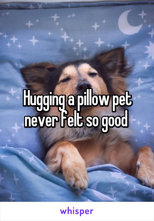 Hugging a pillow pet never felt so good 
