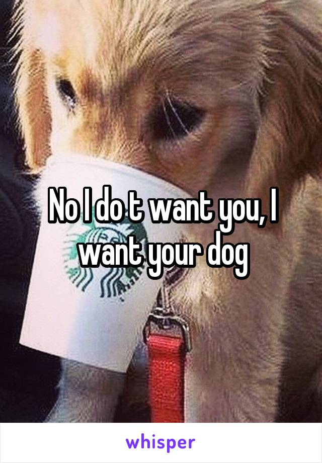 No I do t want you, I want your dog