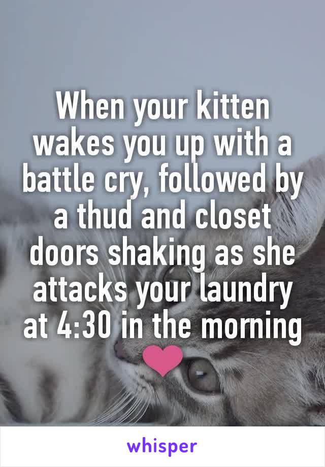 When your kitten wakes you up with a battle cry, followed by a thud and closet doors shaking as she attacks your laundry at 4:30 in the morning ❤