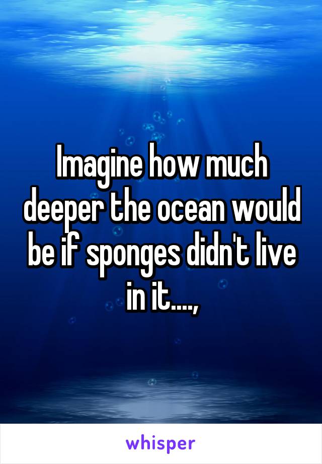 Imagine how much deeper the ocean would be if sponges didn't live in it....,