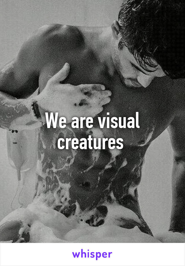 We are visual creatures 
