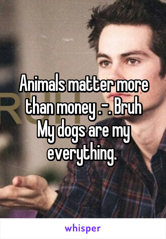 Animals matter more than money .-. Bruh
My dogs are my everything. 