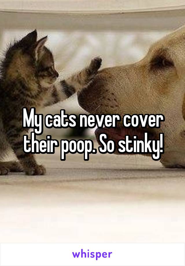 My cats never cover their poop. So stinky!