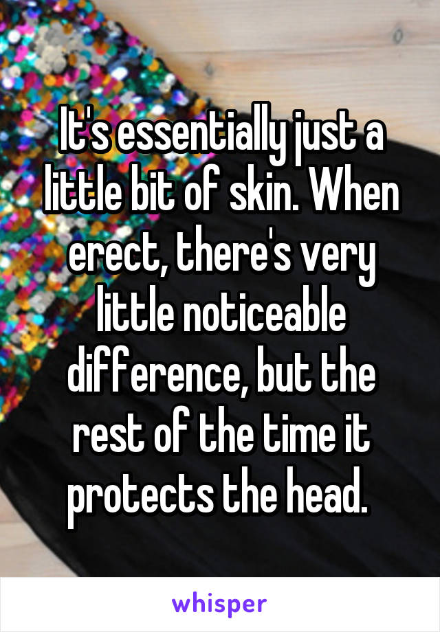 It's essentially just a little bit of skin. When erect, there's very little noticeable difference, but the rest of the time it protects the head. 