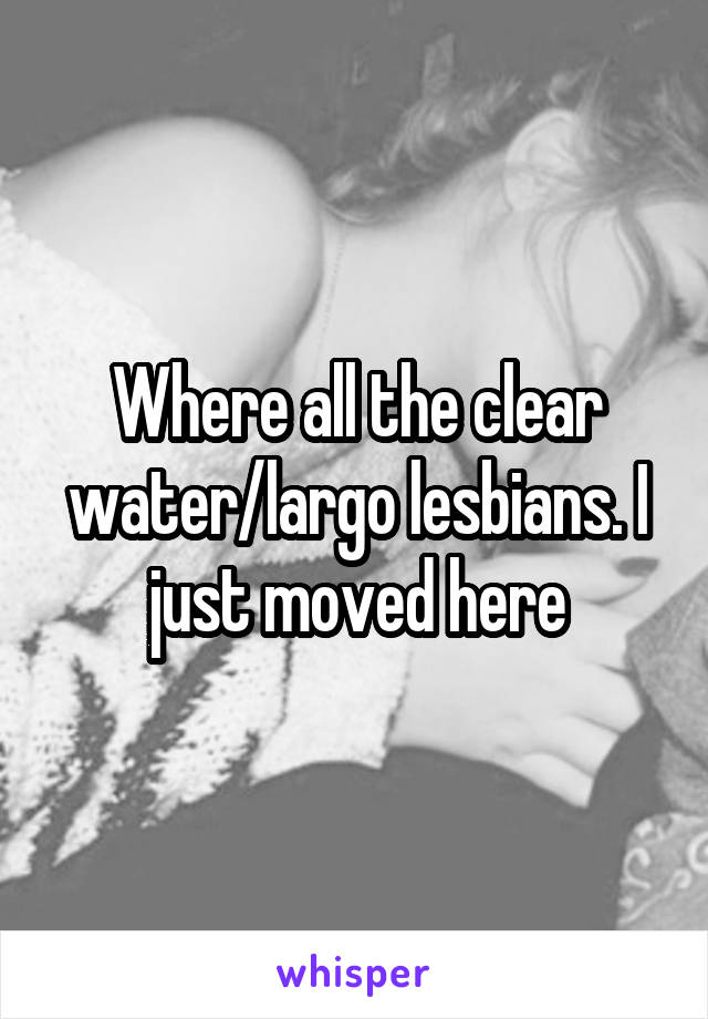 Where all the clear water/largo lesbians. I just moved here
