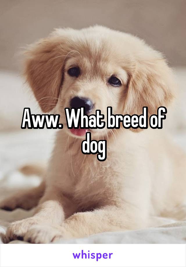 Aww. What breed of dog