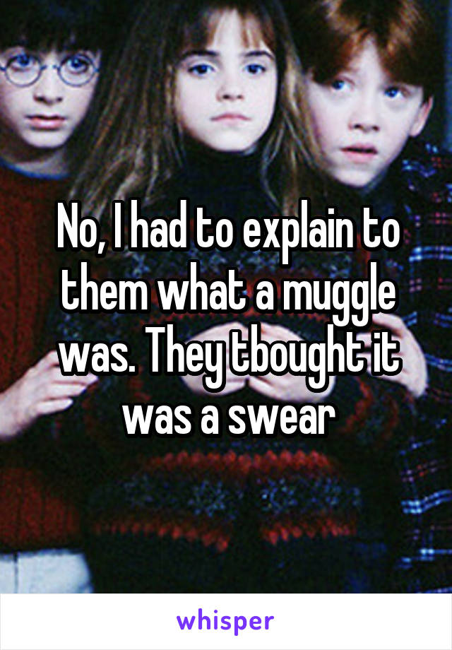 No, I had to explain to them what a muggle was. They tbought it was a swear