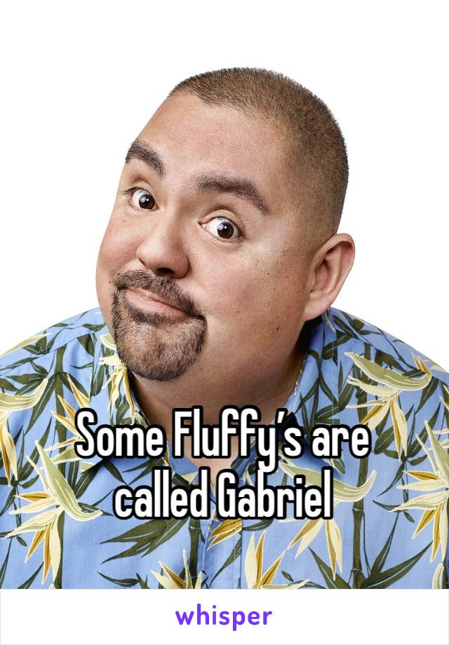 Some Fluffy’s are called Gabriel