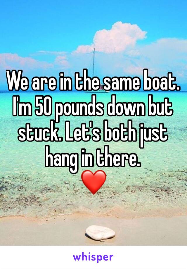 We are in the same boat. I'm 50 pounds down but stuck. Let's both just hang in there.
❤️