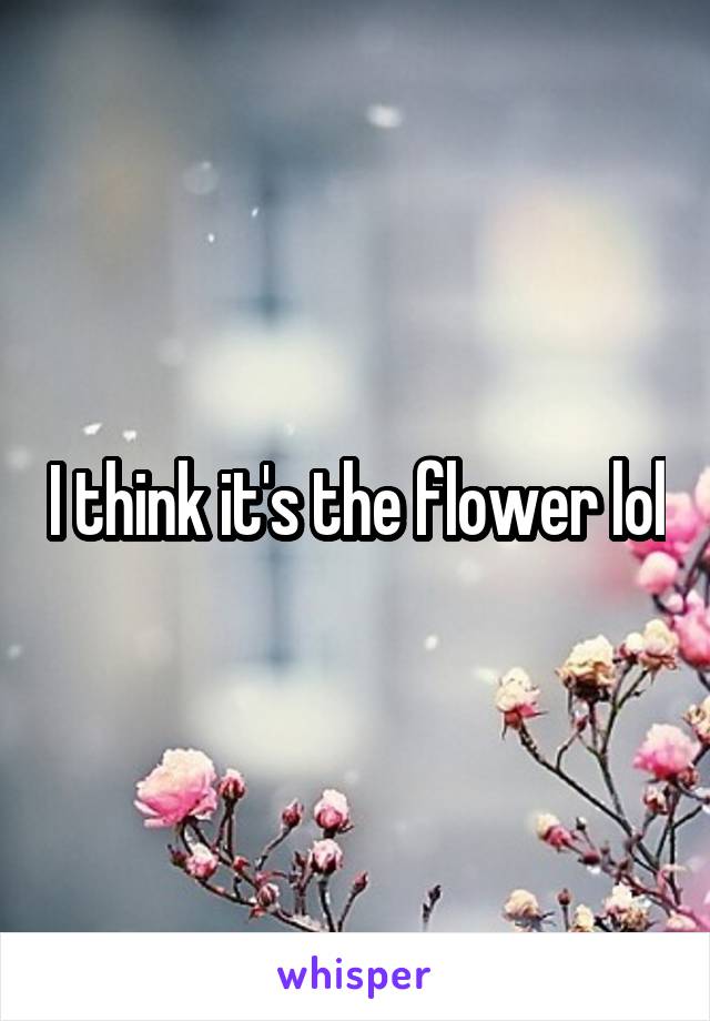 I think it's the flower lol