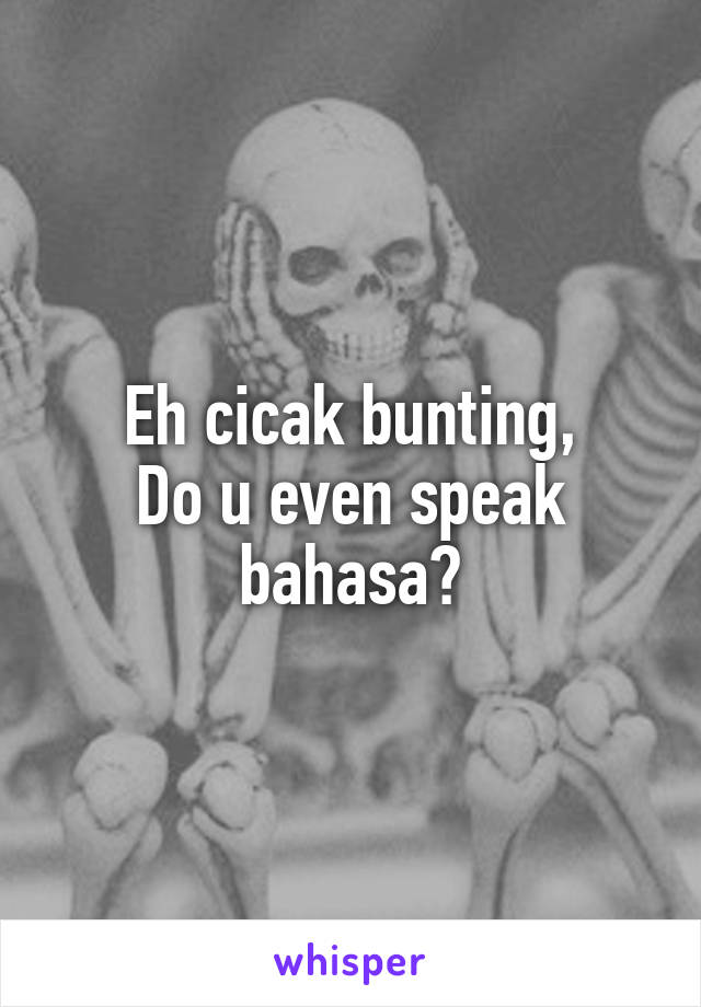 Eh cicak bunting,
Do u even speak bahasa?