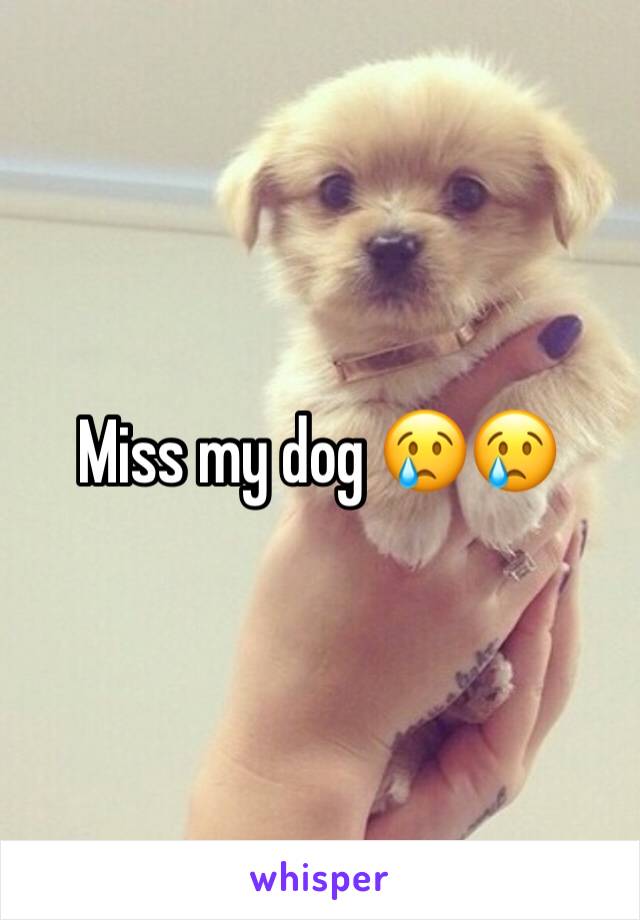 Miss my dog 😢😢