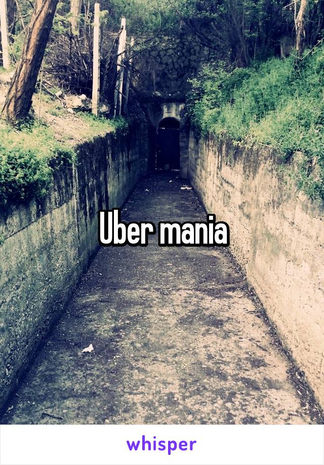 Uber mania