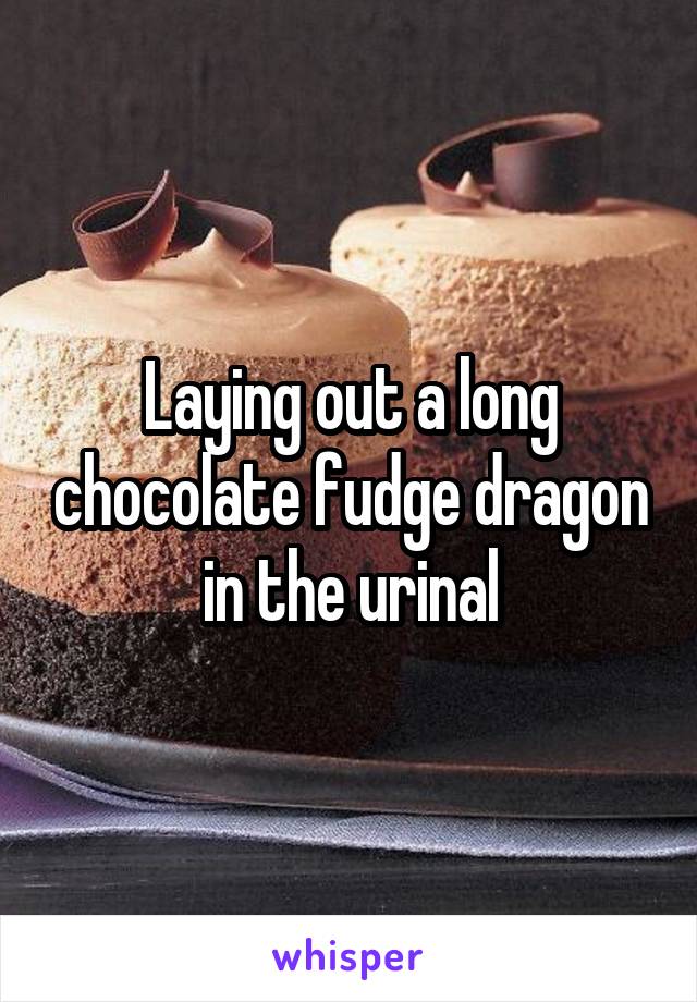 Laying out a long chocolate fudge dragon in the urinal