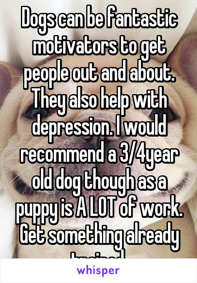 Dogs can be fantastic motivators to get people out and about. They also help with depression. I would recommend a 3/4year old dog though as a puppy is A LOT of work. Get something already trained.