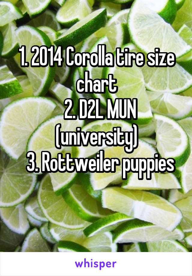 1. 2014 Corolla tire size chart
  2. D2L MUN (university)
  3. Rottweiler puppies

