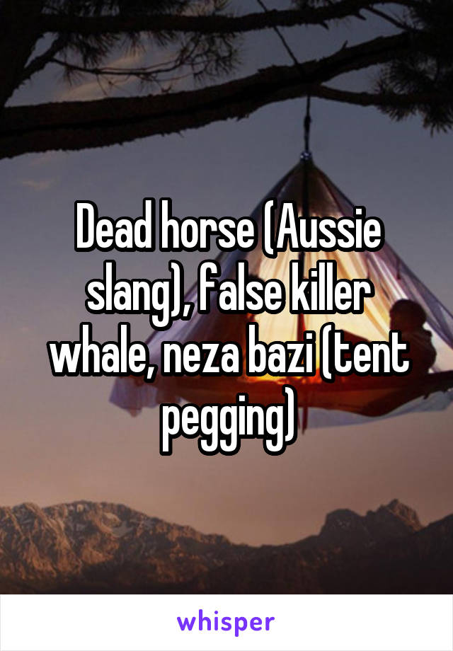 Dead horse (Aussie slang), false killer whale, neza bazi (tent pegging)