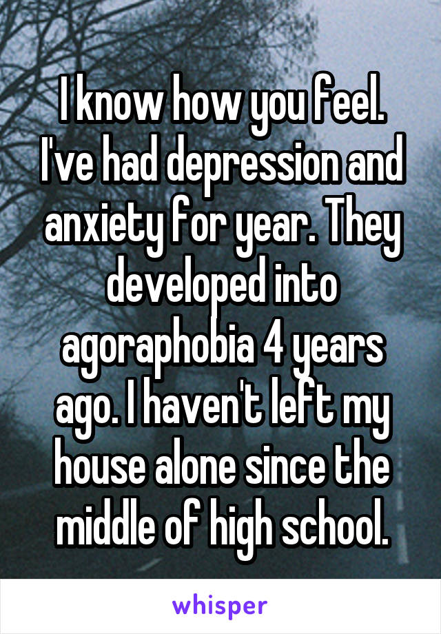 I know how you feel. I've had depression and anxiety for year. They developed into agoraphobia 4 years ago. I haven't left my house alone since the middle of high school.