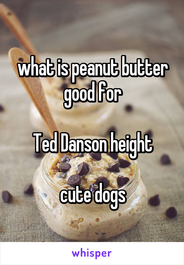 what is peanut butter good for

Ted Danson height

cute dogs