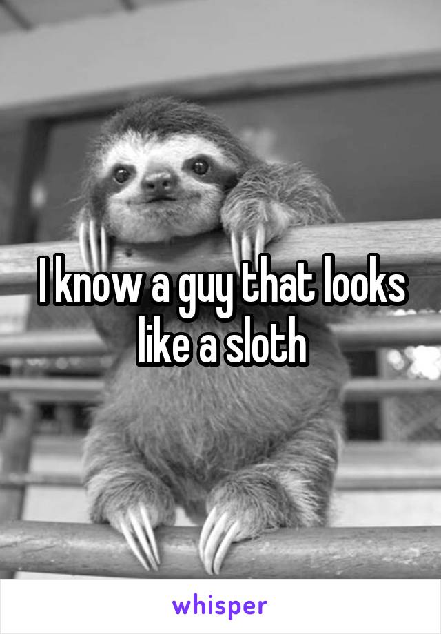 I know a guy that looks like a sloth