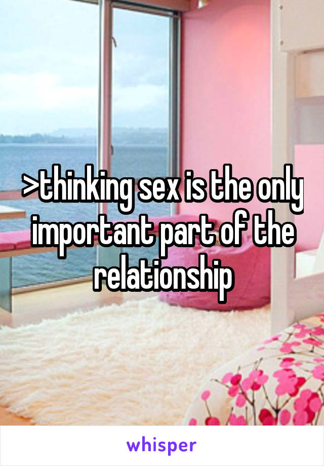 >thinking sex is the only important part of the relationship