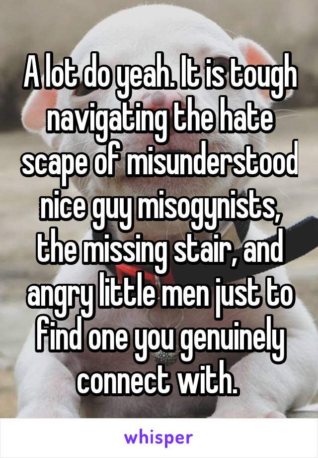 A lot do yeah. It is tough navigating the hate scape of misunderstood nice guy misogynists, the missing stair, and angry little men just to find one you genuinely connect with. 