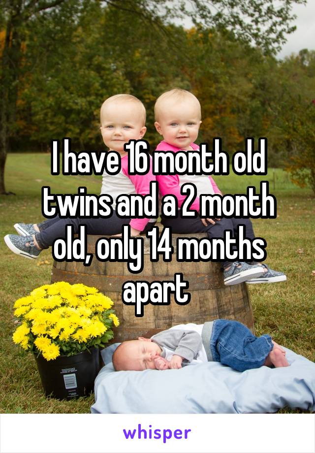 I have 16 month old twins and a 2 month old, only 14 months apart 