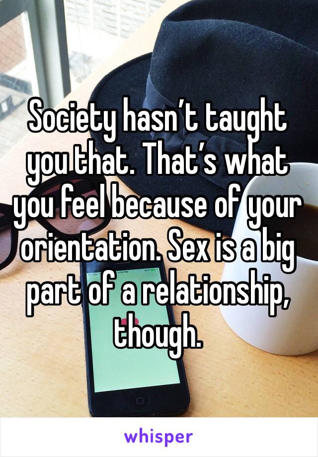 Society hasn’t taught you that. That’s what you feel because of your orientation. Sex is a big part of a relationship, though. 