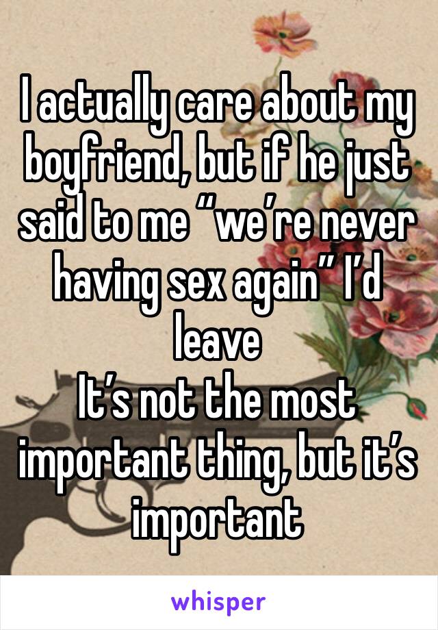 I actually care about my boyfriend, but if he just said to me “we’re never having sex again” I’d leave 
It’s not the most important thing, but it’s important 