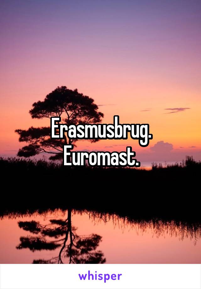 Erasmusbrug. Euromast.
