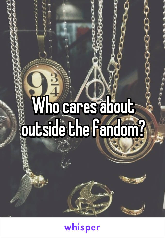 Who cares about outside the fandom?