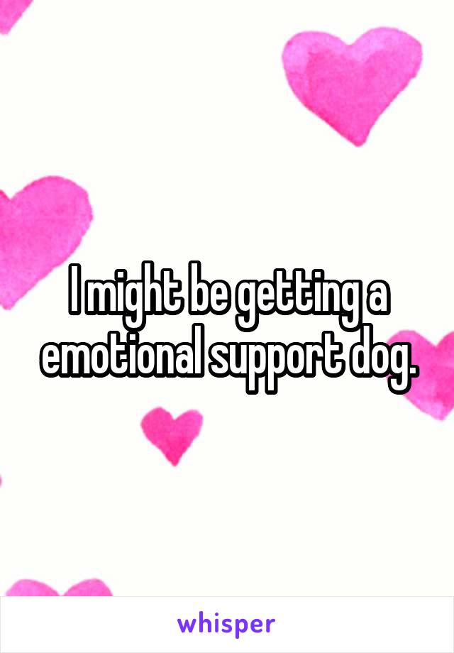 I might be getting a emotional support dog.