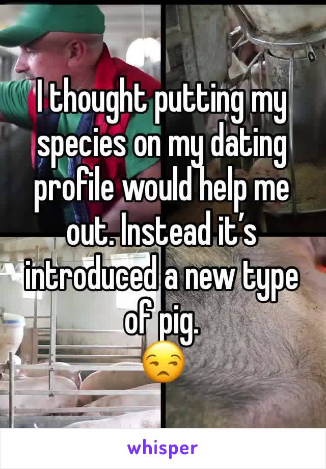 I thought putting my species on my dating profile would help me out. Instead it’s introduced a new type of pig.
😒