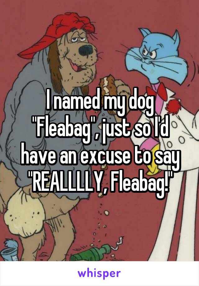 I named my dog "Fleabag", just so I'd have an excuse to say "REALLLLY, Fleabag!"