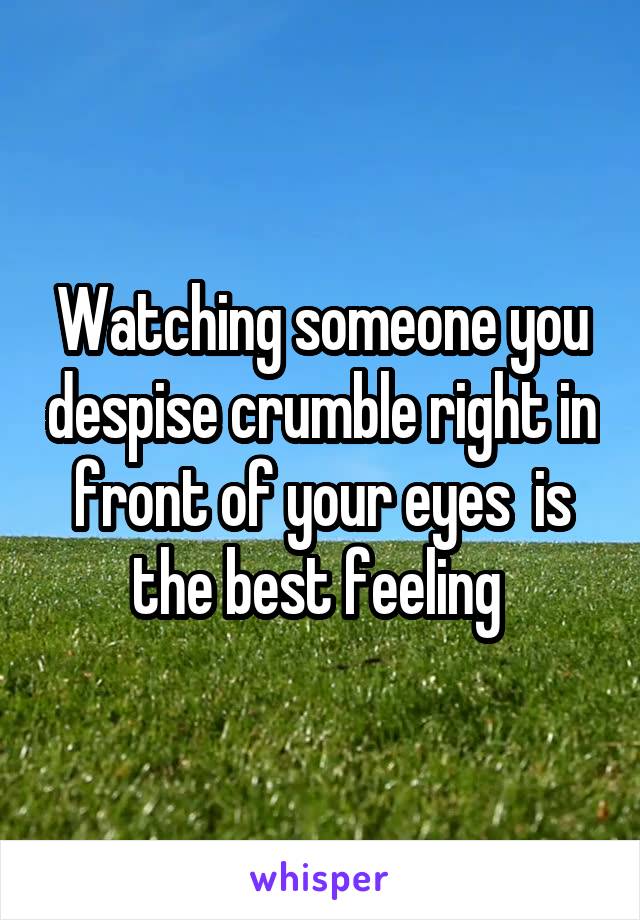 Watching someone you despise crumble right in front of your eyes  is the best feeling 