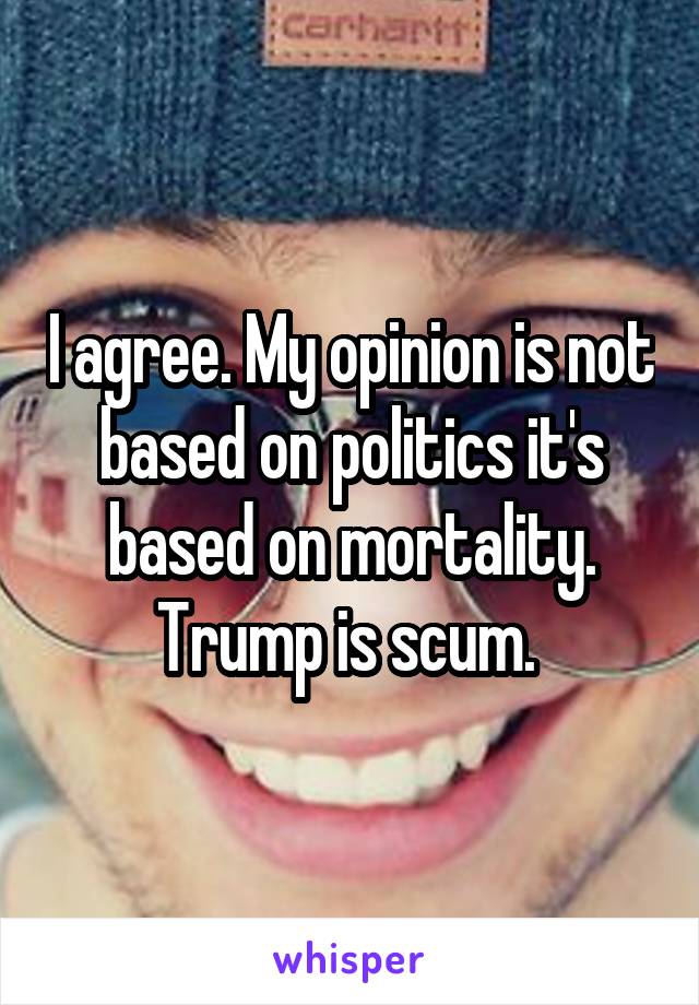 I agree. My opinion is not based on politics it's based on mortality. Trump is scum. 