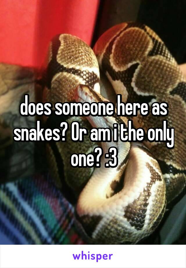 does someone here as snakes? Or am i the only one? :3