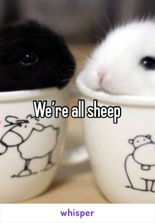 We’re all sheep
