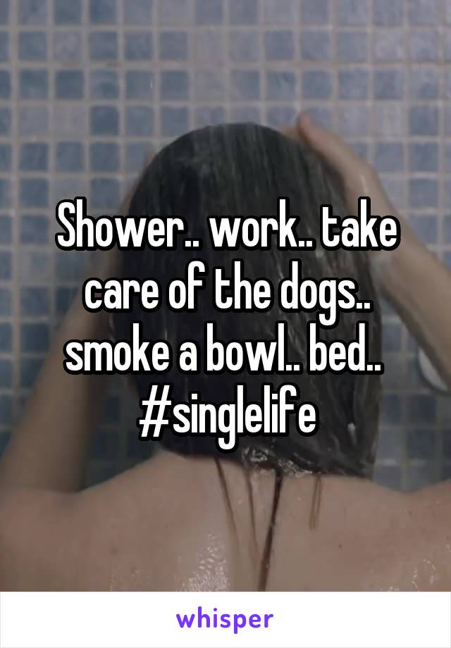Shower.. work.. take care of the dogs.. smoke a bowl.. bed.. 
#singlelife
