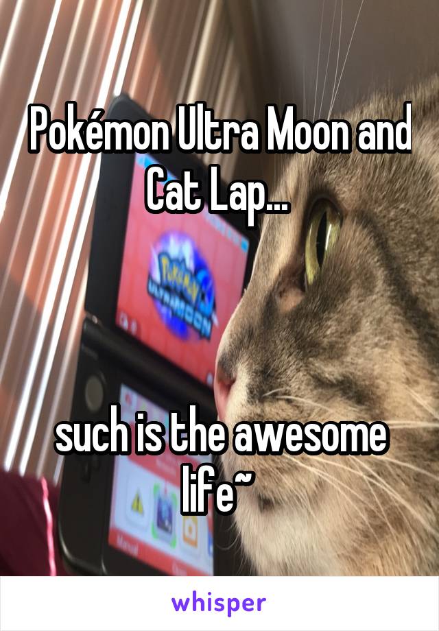 Pokémon Ultra Moon and Cat Lap... 



such is the awesome life~ 